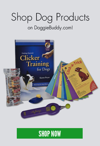 Shop Dog Products on DoggieBuddy!